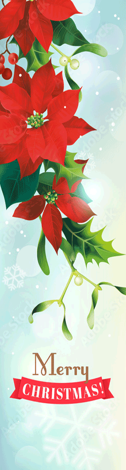 christmas-gift-banner2
